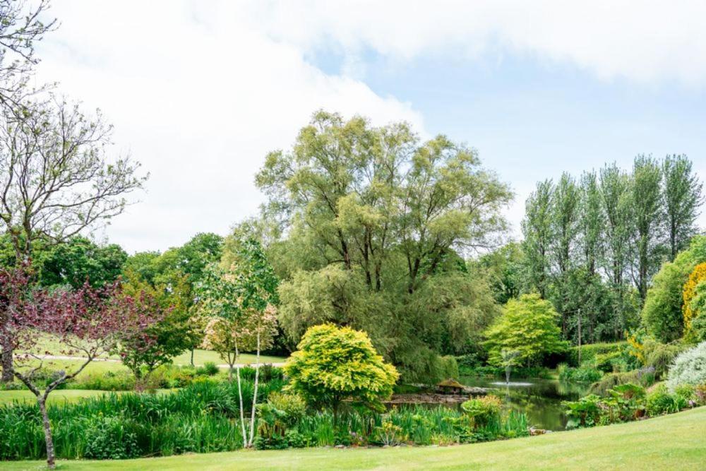 Pulley Mill Villa High Bickington Екстериор снимка